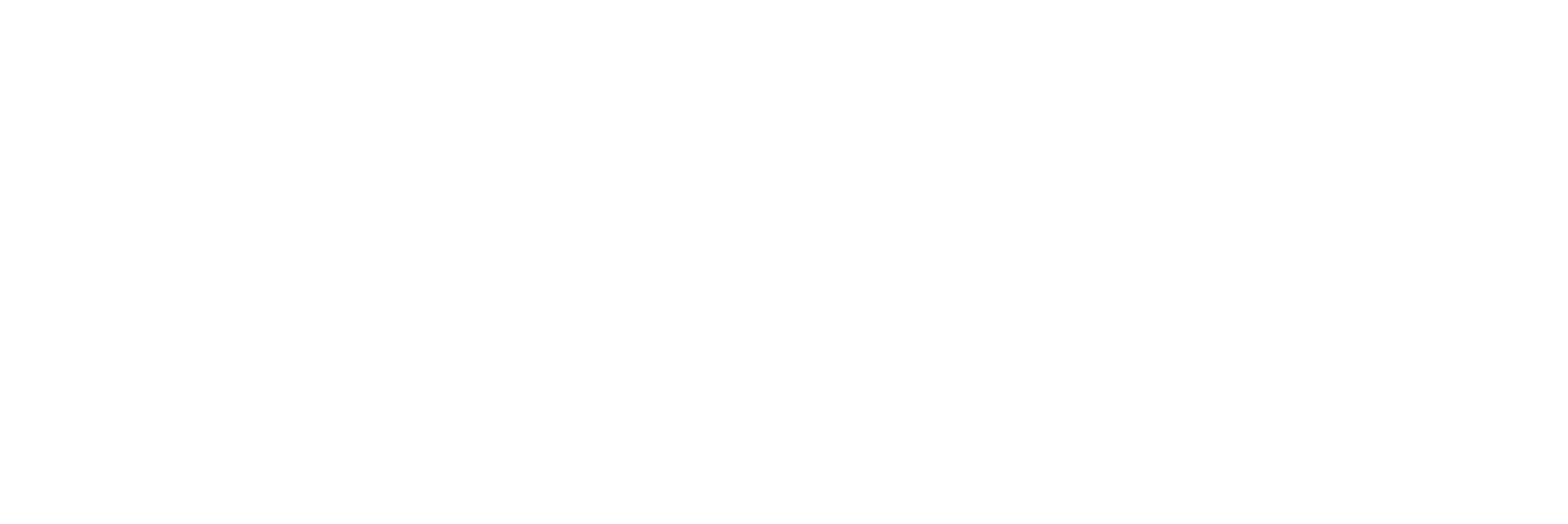 HAMMER HEAD BRUSH